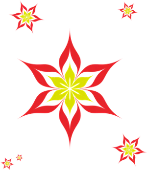 Abstract Floral Starburst Pattern