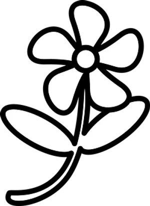 Abstract Flower Silhouette Black Background