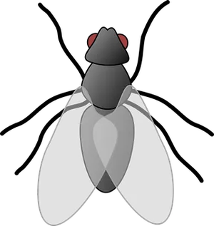 Abstract Fly Silhouette
