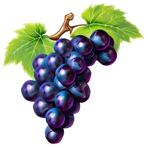 Abstract Grape Design PNG 39 PNG