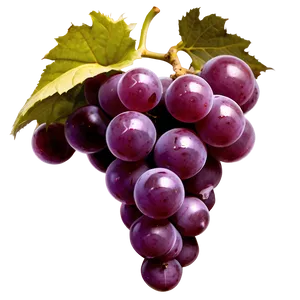 Abstract Grape Design PNG 66 PNG