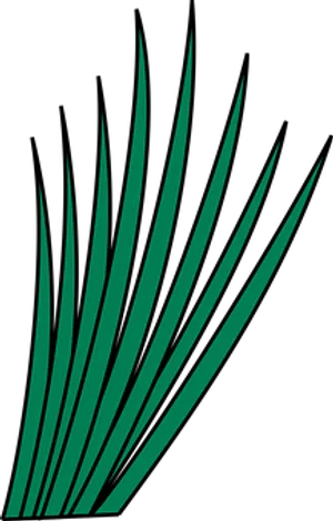 Abstract Grass Blades Graphic PNG image