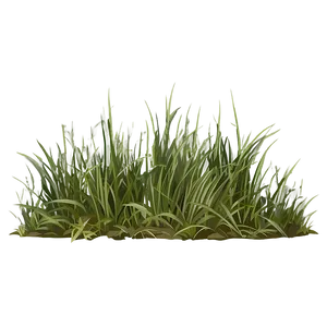 Abstract Grass Clipart PNG Wmd55 PNG