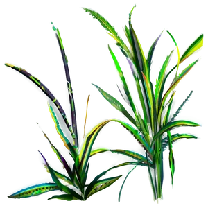 Abstract Grass Design Png 75 PNG image