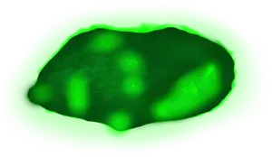 Abstract Green Blob Illustration PNG image