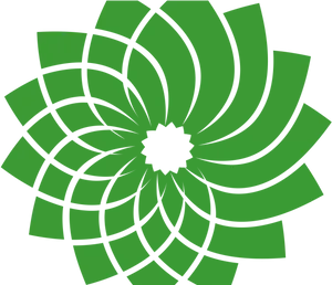 Abstract Green Flower Design PNG image