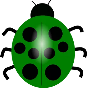 Abstract Green Ladybug Illustration PNG image