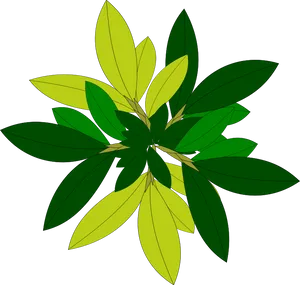 Abstract Green Leaves Design