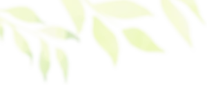 Abstract Green Leaves Illustration PNG image