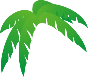 Abstract Green Palm Leaves Graphic PNG image