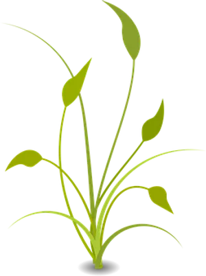 Abstract Green Plant Illustration