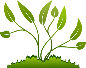Abstract Green Plant Illustration