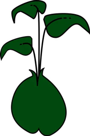 Abstract Green Seedling Graphic PNG image