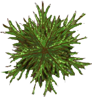Abstract Green Tree Top View PNG image