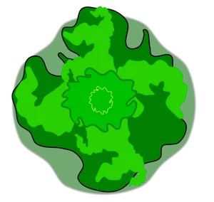 Abstract Green Tree Top View