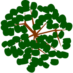 Abstract Green Tree Top View