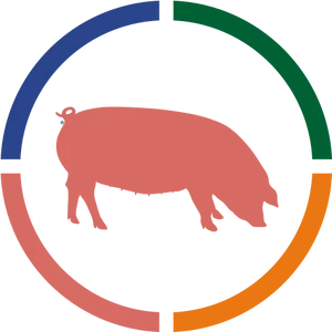 Abstract Hippo Color Wheel Graphic PNG image