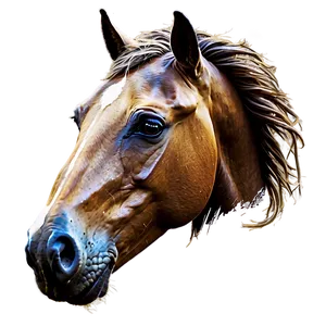 Abstract Horse Head Graphic Png Rax72 PNG image