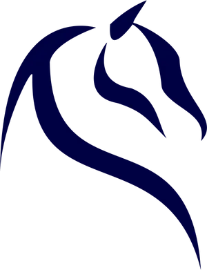 Abstract Horse Logo Design