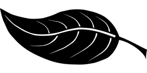 Abstract Leaf Design Blackand White
