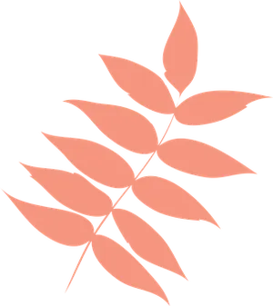Abstract Leaf Designon Black Background