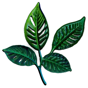 Abstract Leaf PNG 05032024
