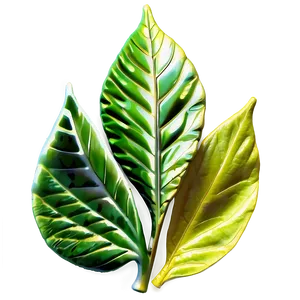 Abstract Leaf PNG Erg8 PNG
