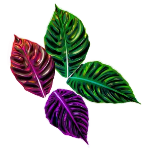 Abstract Leaves PNG 05042024