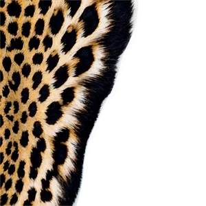 Abstract Leopard Spots PNG Otr98 PNG