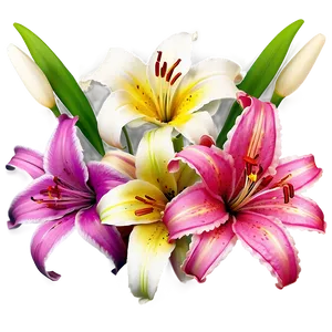 Abstract Lilies Art PNG Rgi PNG