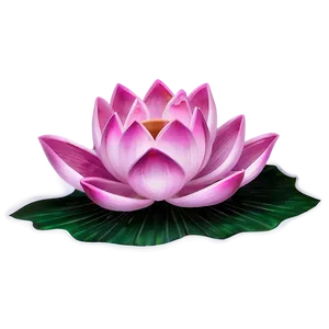 Abstract Lotus Design Png 69 PNG image