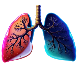 Abstract Lungs Design Png 05232024 PNG image