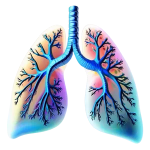 Abstract Lungs Design Png 05232024 PNG image