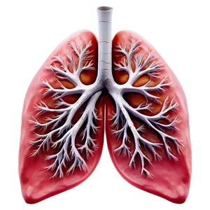Abstract Lungs Pattern Png Adn96 PNG image
