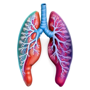 Abstract Lungs Pattern Png Ybv PNG image