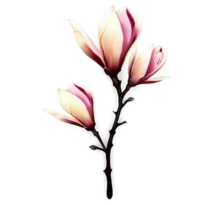Abstract Magnolia Flower Artwork PNG Jxs59 PNG