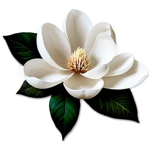 Abstract Magnolia Flower Artwork PNG Xdm PNG