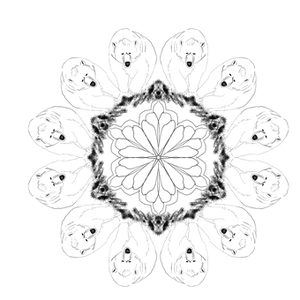 Abstract Mandala Design Dark Background PNG image