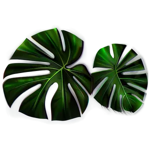 Abstract Monstera Art Png Swd PNG image
