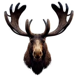Abstract Moose Head Design PNG 06292024