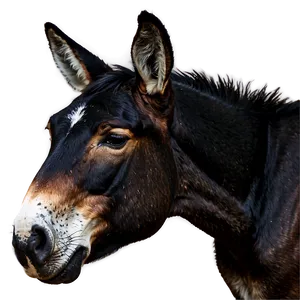 Abstract Mule Concept PNG Nsw15 PNG