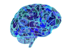 Abstract Neural Network Brain Illustration PNG image