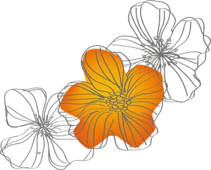 Abstract Orange Flower Illustration