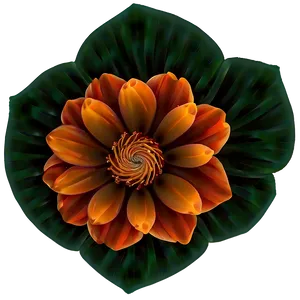 Abstract Orange Flower PNG Nwr