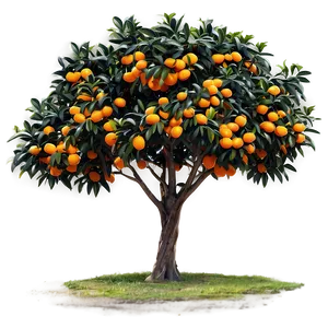 Abstract Orange Tree PNG 06132024