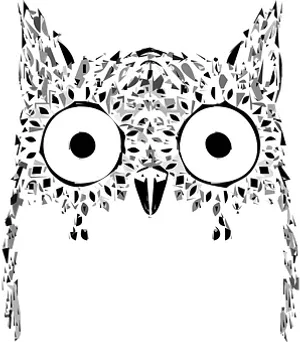 Abstract Owl Artwork PNG image