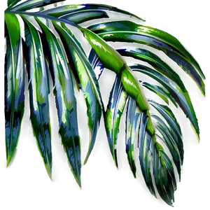 Abstract Palm Leaves Png 05252024 PNG image