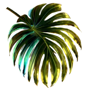 Abstract Palm Leaves PNG Oip