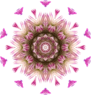 Abstract Pink Floral Kaleidoscope Pattern PNG image