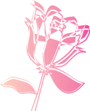 Abstract Pink Rose Vector Art